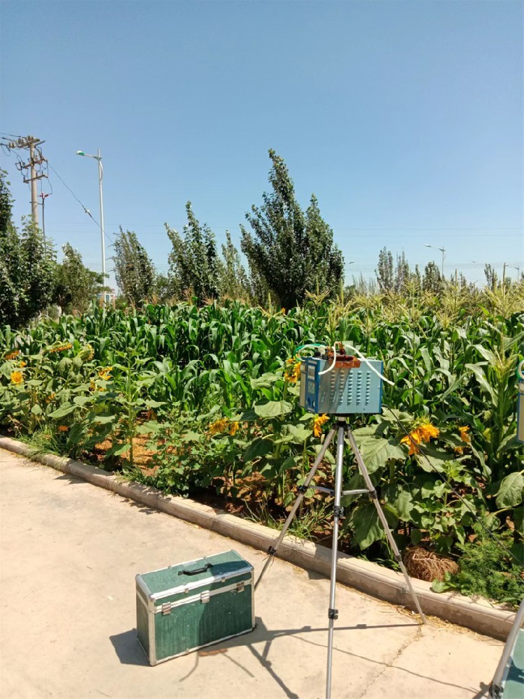 現場(chǎng)無(wú)組織采樣